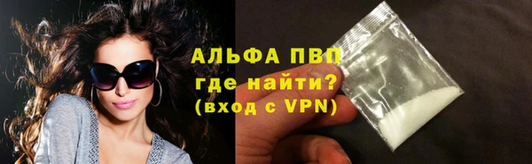 стаф Алексин