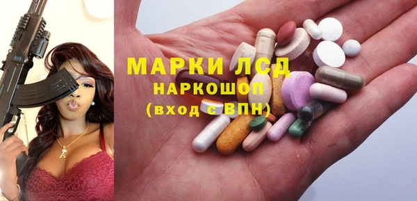 стаф Алексин